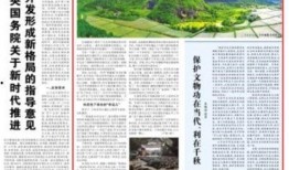 江苏日报爆料新闻热线是多少,守护舆论监督的桥梁