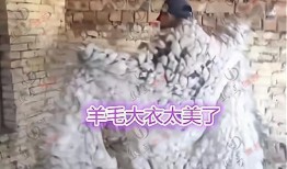 羊圈真实爆料视频大全,真实事件背后的惊人真相