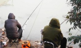 钓鱼爆料视频大全最新