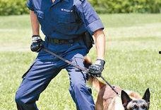 巴打警犬在线观看,忠诚守护，智慧追踪