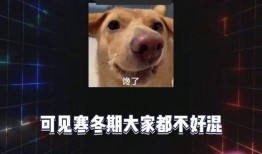 吃瓜来娱乐
